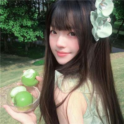 藏獒多吉